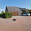 Trendline (strak) Dikformaat 21x7x8 Oud Emmen