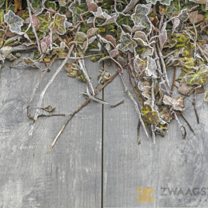 GeoCeramica® 40x80x4 Timber Grigio