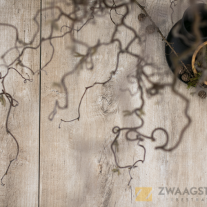 GeoCeramica® 40x80x4 Timber Tortera