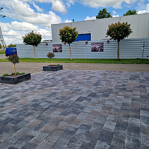Straksteen (facet) 20x30x6 Oud Drachten