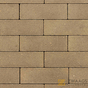 GeoRetron Betonklinker 21x10.5x8 Rosendael