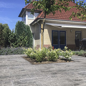 Smartton SE 30x60x4 Amiata