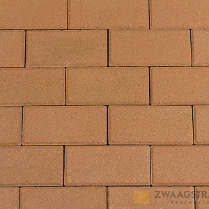 Trendline Betonklinker 21x10.5x8 Gasselterbruin 