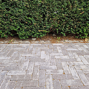 Stonique Trommel Dikformaat 21x7x6 Mangaan