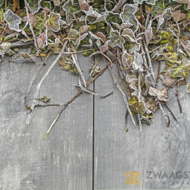 GeoCeramica® 40x80x4 Timber Grigio