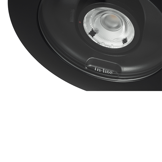 in-lite Big Nero