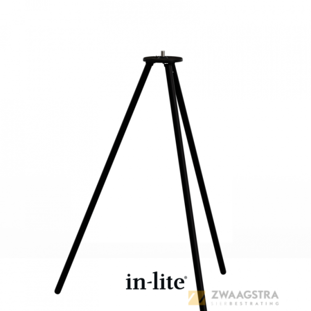 in-lite Big Voque