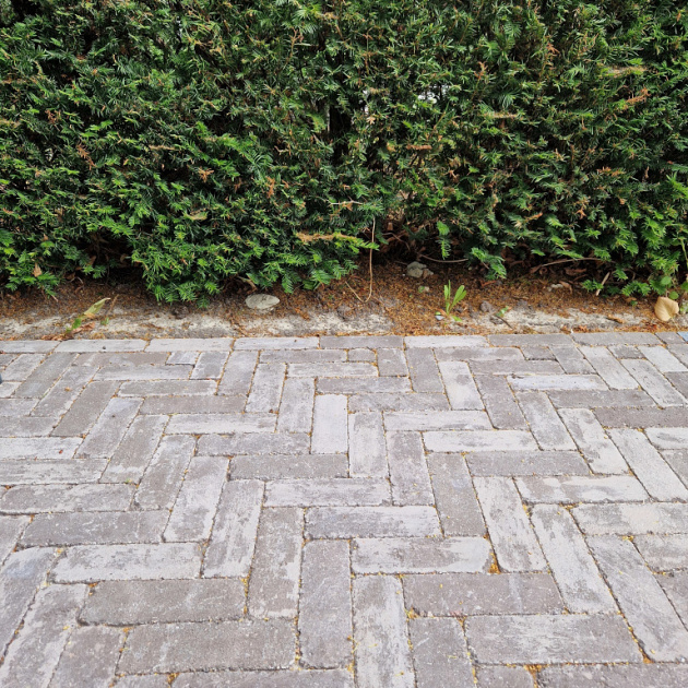 Stonique Trommel Dikformaat 21x7x6 Mangaan